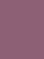 #8D6075 - mauve-pink
