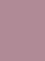 #B08A96 - soft dusty rose