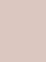 #DCC6C0 - soft blush beige