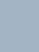 #A3B4C4 - muted sky blue