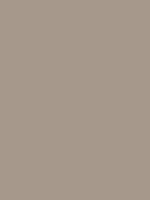 #A6988B - soft mocha