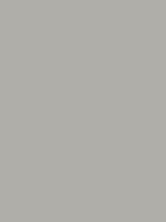 #AFAEA8 - silver-grey