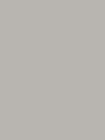 #B8B5B0 - muted platinum