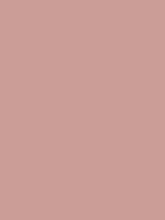 #CB9D97 - dusty rosewood