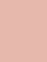 #E6B8AC - muted peach
